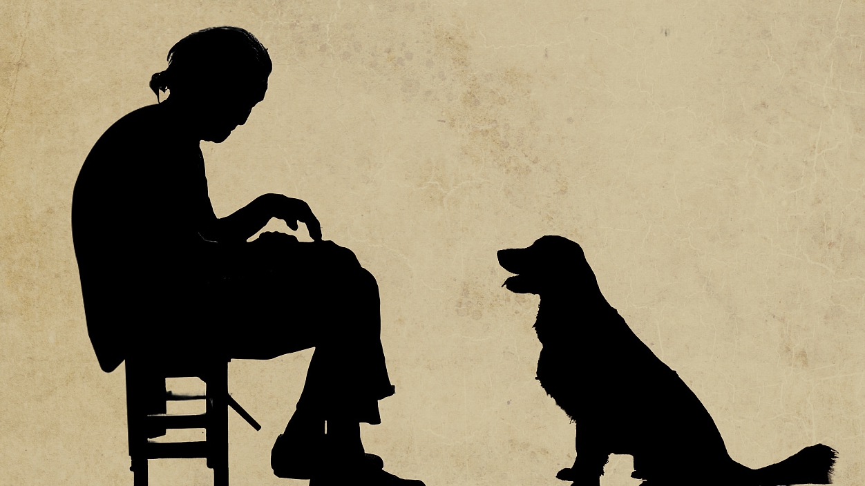 “空巢”不“空心”，超1億空巢老人如何老有頤養、老有所樂？